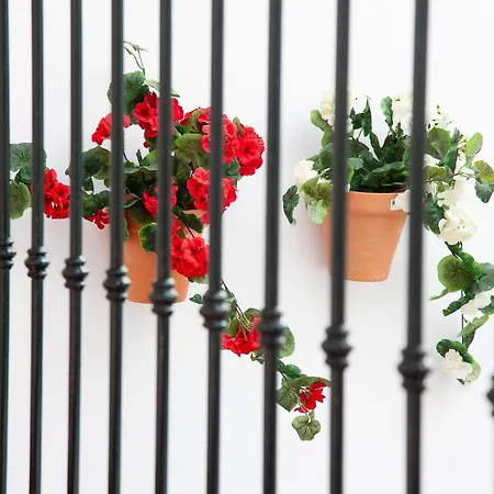 Hotel Noches En Triana 2*